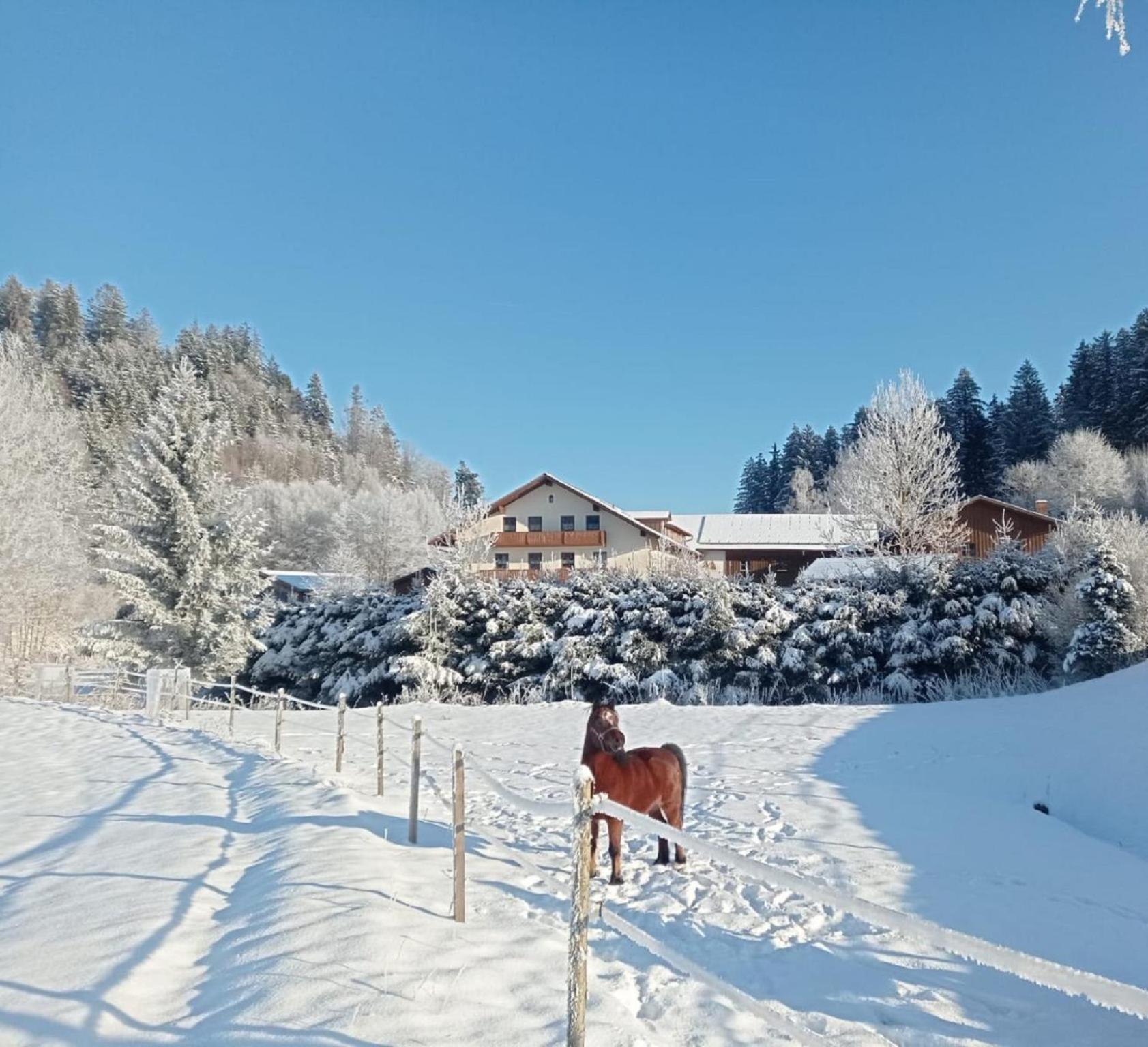 Gasthaus Ferienbauernhof Mehlbach Kollnburg Exterior foto