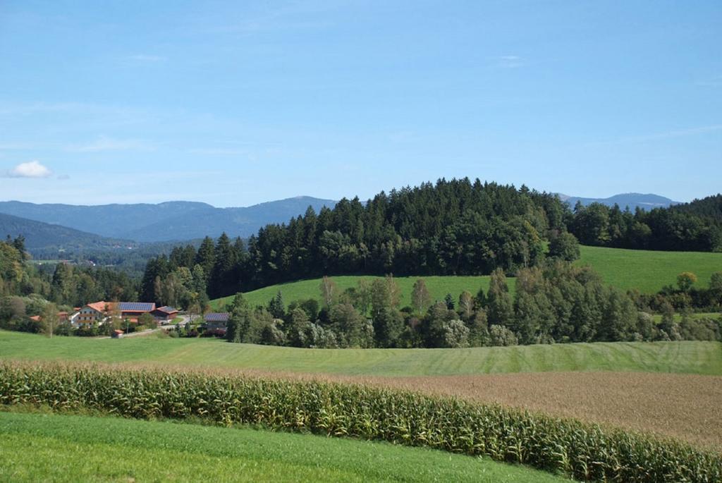 Gasthaus Ferienbauernhof Mehlbach Kollnburg Exterior foto